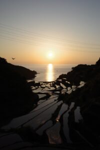 浜野浦の棚田を訪れて感じた、地域とのつながり。