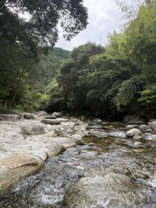 休日は川遊びへ！🍃